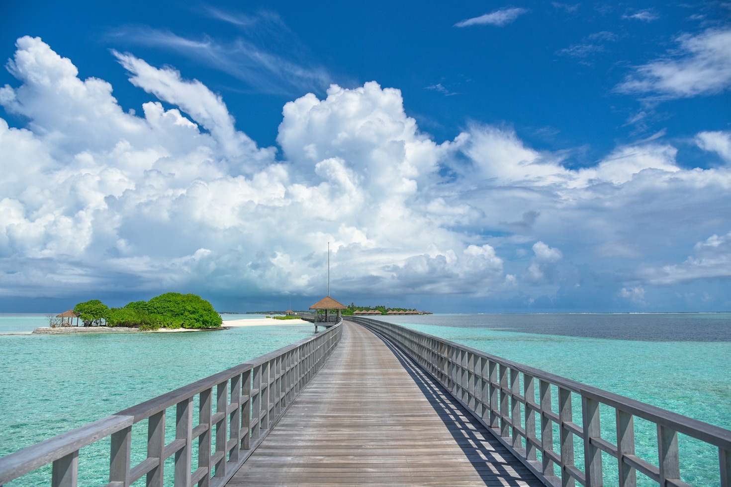 Top 10 Must-Try Experiences Around the Globe